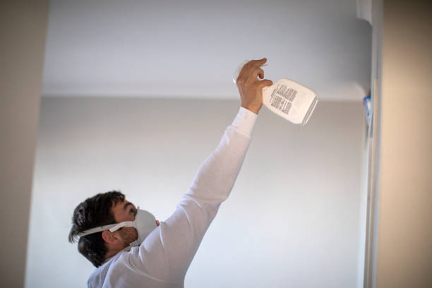 Best Mold Testing and Inspection Services in Madrid, IA